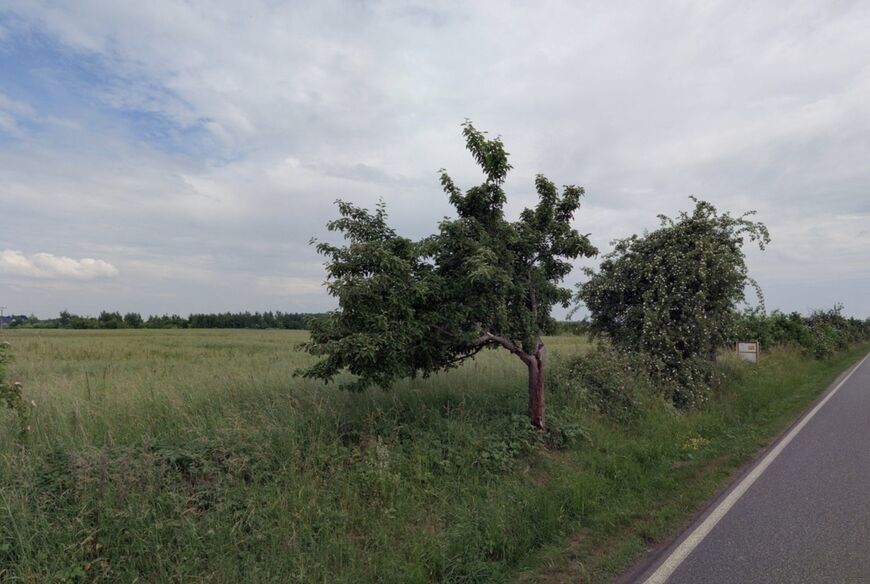 Úvaly u Prahy (7 795 m2)