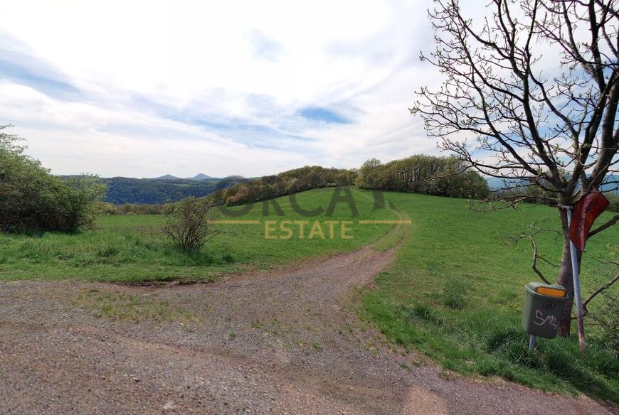 Prodej podílu 9 985 m2 na pozemcích v k.ú. Nová Ves