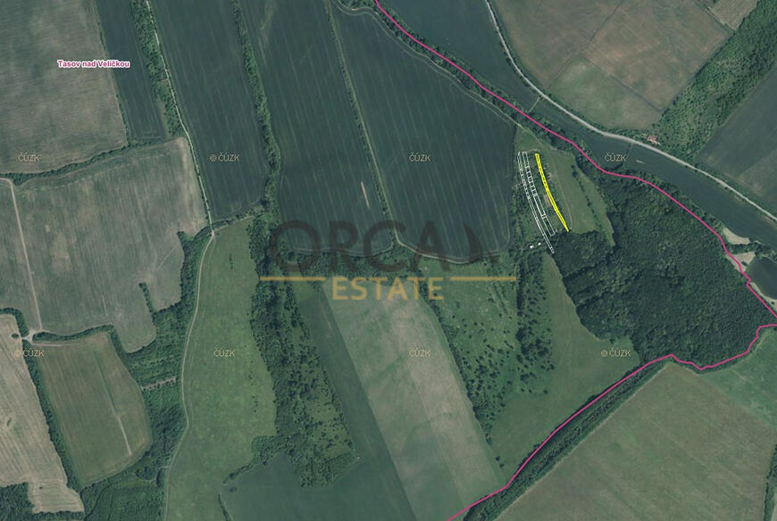 0,1 ha pozemků v k.ú. Tasov nad Veličkou