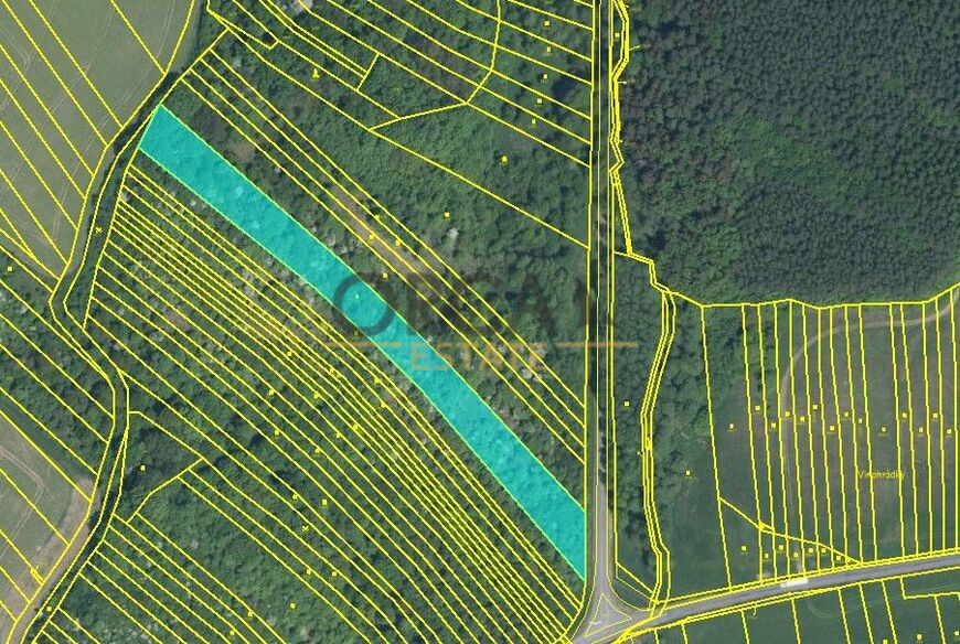 Prodej 1,8 ha pozemků v k. ú. Březolupy