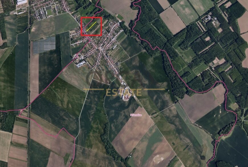 Prodej dvou pozemků o výměře 1058 m2 v k.ú. Přísnotice