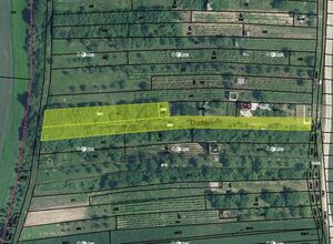 Fotografie nemovitosti - 0,24 ha orné půdy v k.ú. Boršov u Kyjova