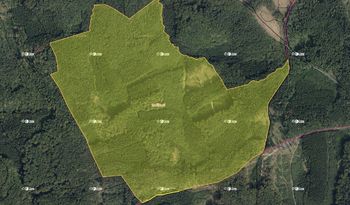 Aukce 0,12 ha lesních pozemků v k.ú. Loučka II